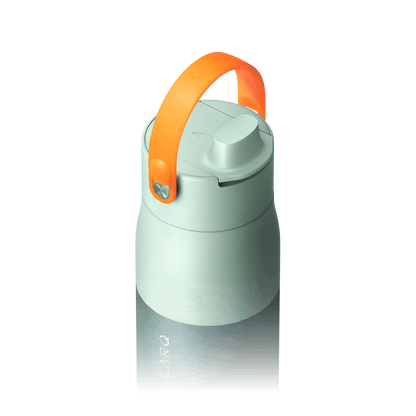 LARQ Bottle Handles - US 3868